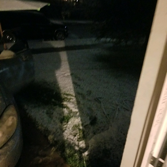 Meet your Posher, Brian - Picture 1 of 1